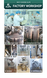 Порошок экстракта цианотита арахноидеи 98% чистого бета-экдистерона - Product Image 5