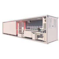 Lyine 500kg/jour Serres Conteneur d'expédition Ferme Système de culture hydroponique de fourrage pour l'agriculture verticale entièrement automatique