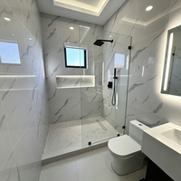 Paroi de douche moderne en verre trempé cannelé arqué, panneau fixe avec cadre doré, séparateur de salle de bain pour salle de bain à accès direct, cloison de salle de bain humide pour projets