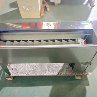 Nouvelle Laveuse d'œufs Commerciale Automatique Multifonctionnelle avec Brosse pour Œufs de Poule/Canard/Oie 110V/220V