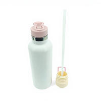 Bouteille d'eau isotherme à double paroi en acier inoxydable de 22 oz, écologique, imprimée sérigraphiée, avec paille rabattable, pour activités sportives en extérieur