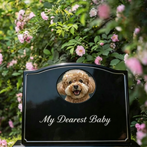 Lapide in Granito Naturale per Cani e Gatti, Design Moderno Personalizzato, Scultura Commemorativa in Pietra - Product Image 5