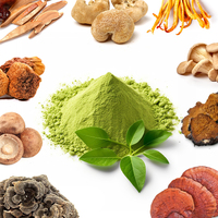 Boissons solides au matcha à base d'extraits de champignons mélangés OEM en vrac |   Emballage de marque privée sur mesure |   Crinière de lion, Reishi, Chaga