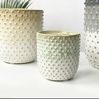 Pot de fleurs hydroponique pour plantes vertes, style nordique minimaliste, dégradé effet fourné, gaufré, résistant à la corrosion