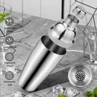 Ensemble de cocktails 750 ml, ensemble de shaker à cocktails avec jigger à bord roulé, verseurs, livre de recettes, 5 pièces, accessoire de bar à domicile, shaker à martini de 24 oz