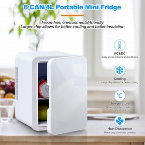 Réfrigérateur cosmétique en verre de 4 L de <span class=keywords><strong>couleur</strong></span> <span class=keywords><strong>menthe</strong></span> pour la beauté du visage avec CE ETL UKCA CB SAA - Product Image 3