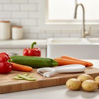 Éplucheur multifonctionnel en acier inoxydable, couteau à éplucher les fruits et légumes, râpe à pommes de terre et à melon, hachoir, outil de cuisine