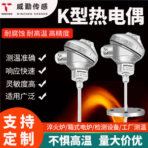 PT100 Resistance Temperature Transmitter Straight Insertion Threaded Flange Type Sensor Probe For Electric Furnaces - Product Image 4