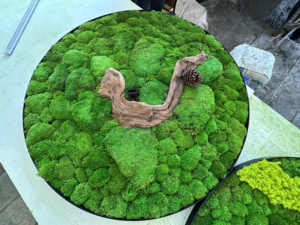 J-11205 Wholesale Customized Preserved <strong>Moss</strong> Panel Preserved Reindeer <strong>Moss</strong> With Frame for Home Decoration - Product Image 4