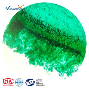 Thiết lập của 13 kính hiển vi chuẩn bị Slide vi sinh vật sinh học vi sinh vật mẫu - Product Image 2