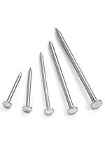 SS 304 Fluted Concrete Nails Round Wire Iron Wood Nail Carbon Steel Common Nail