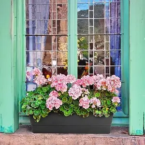 SHUNYUE 트레이가있는 직사각형 창 상자 사용자 정의, 창턱용 실내 다육 식물 선인장 민트 플라스틱 냄비, 야외 정원 트레이