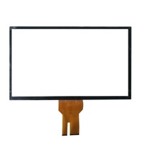 Panel Táctil Capacitivo de Vidrio de 6.95 Pulgadas, 10 Puntos, USB, Personalizado, MOQ Bajo, Directo de Fábrica ODM OEM