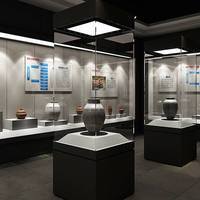 Vitrine d'exposition en acier et verre sur mesure pour musée avec éclairage LED, construction durable et de haute qualité