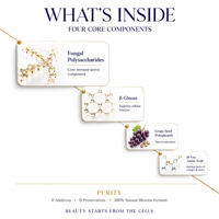 Liquide oral à base de polysaccharides fongiques, boisson à l'extrait de champignons bioactifs, 18 acides aminés naturellement fermentés