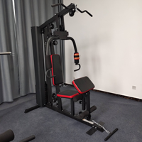 XOYOOU Mini Gym Multifonctionnel d'Intérieur à Station Unique |   Machine d'exercice multifonctionnelle pour musculation : Lat Pulldown, Chest Press et Leg Developer