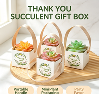 Mini boîte carrée en papier pour fleurs avec poignée en ruban, boîte à succulentes de remerciement, boîte cadeau pour mariage ou fête, pour petite plante verte