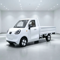 Camion de fret électrique, mini pick-up électrique avec benne, camion électrique 4 roues pour adultes, pour la livraison en milieu agricole et logistique urbaine