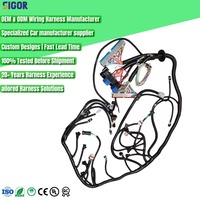 Fabricant de faisceaux de câblage automobile 12V en cuivre pur OEM/ODM, assemblage de câbles électriques de haute qualité pour véhicules