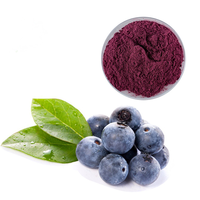 Pasokan Pabrik Bubuk Jus Blueberry Larut Air 100% Alami Bubuk Buah Blueberry Kelas Makanan untuk Minuman dan Kue