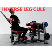 ASJ MS-634 Inverse Leg Curl/Hip Quad Commercial Fitness Equipment Gym Machine Multi Fonction Inverse Leg Curl & Back Extension