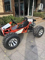 Nuevo Diseño de Karting Todoterreno con Pedales, Neumáticos Anchos de 10 Pulgadas, Capacidad de Carga de 200 kg, Motor de Gasolina de 212 cc y 4 Tiempos, Freno de Disco Hidráulico, Go Kart Cross para Adultos