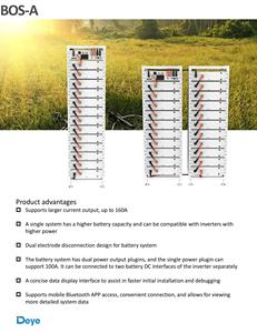 ระบบจัดเก็บพลังงานแบตเตอรี่เชิงพาณิชย์ Deye BOS-A 7.68kWh LiFePO4 โมดูล 3U แบบติดตั้งบนแร็ค กระแสสูง 160A รองรับ 7-21 แพ็ค ขยายได้ เหมาะสำหรับยุโรป - Product Image 2