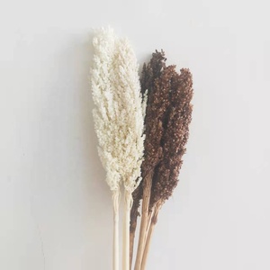 El mundo <span class=keywords><strong>de</strong></span> <span class=keywords><strong>las</strong></span> flores <span class=keywords><strong>de</strong></span> sorgo secas más vendidas para boda/<span class=keywords><strong>casa</strong></span>/decoración del hogar arreglo floral - Product Image 6