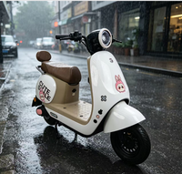 Vélo électrique à deux roues personnalisable en couleurs, cadre en alliage d'aluminium, véhicule de patrouille, sécurité communautaire, défense des biens, économique