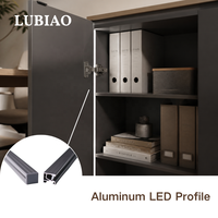 Profilé LED en aluminium encastré, alternative pour système de placard moderne, éclairage linéaire frontal pour armoire YB1022-44