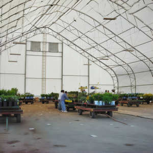 Arche à double poutre 30x60m avec couverture en tissu PVC pour bâtiment, entrepôt industriel, hangar de stockage, abri de voiture, imperméable et résistant aux UV - Product Image 3