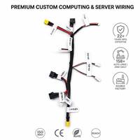 Arnés de Cableado de Distribución de Energía Multibranco Personalizado para Gabinetes de Centros de Datos, PTFE para Rack de Servidores GPU, PDU, UPS, Router, Switch