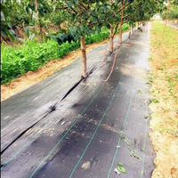 Mat Anti Gulma Anyaman PP Ukuran Kustom Grosir Cina 90GSM--120GSM Penutup Tanah Berkebun Mat Anti Gulma Lanskap