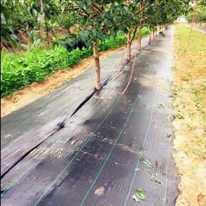 Chine Vente en gros Tapis <span class=keywords><strong>anti</strong></span>-mauvaises herbes en PP tissé sur mesure 90GSM--120GSM Couverture de <span class=keywords><strong>sol</strong></span> de jardinage Paysage Tapis <span class=keywords><strong>anti</strong></span>-mauvaises herbes - Product Image 6
