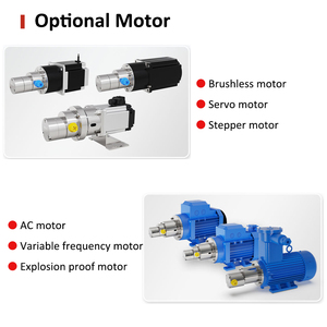 Presión del sistema AC 380V de <span class=keywords><strong>alta</strong></span> calidad 0,8 ~ 20bar bomba de líquido de engranaje de resistencia electrónica magnética química - Product Image 2