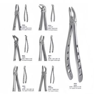 Les fabricants chinois de vente directe d'équipements dentaires de haute qualité, d'instruments chirurgicaux dentaires, d'ensembles de forceps d'extraction dentaire - Product Image 1