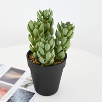 Ensemble de 20 cm de plantes succulentes artificielles réalistes en forme de bonsaï pour la décoration intérieure moderne de la maison et du bureau