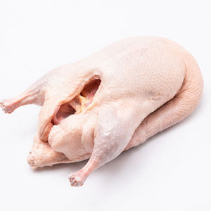 <span class=keywords><strong>Canard</strong></span> entier congelé <span class=keywords><strong>de</strong></span> qualité supérieure sans pattes ni tripes pour la restauration et le marché international <span class=keywords><strong>de</strong></span> gros - Product Image 5