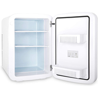 Mini-Frigo Portable 15L 20L 25L avec Porte en Verre pour Maison et Hôtel