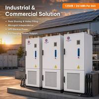 Système de stockage d'énergie solaire hors réseau 261 kWh, armoire BESS 125 kW, batterie LiFePO4, refroidissement liquide, stockage d'énergie industriel et commercial, rack de stockage d'énergie