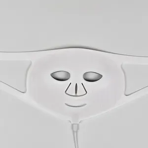 사용자 정의 얼굴 실리콘 빨간 Led 빛 치료 7 색 얼굴 목 마스크 가벼운 광자 악기