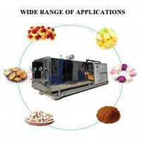 Lyophilisateur industriel pour fruits et légumes Lyophilisateur sous vide Lyophilisateur alimentaire