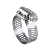 Collier de serrage à vis en T métrique Evereon 17-32 mm en acier inoxydable 304 robuste à dégagement rapide, modèle hydraulique 26050-13032, carbone plaqué