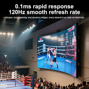 Painel <span class=keywords><strong>OLED</strong></span> Transparente de 55 Polegadas em Promoção para <span class=keywords><strong>Display</strong></span> Interno, Cortina de Vídeo Wall Flexível para Publicidade Indoor - Product Image 3