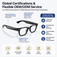 Lunettes Intelligentes W620 Pro avec Caméra 1300W, Traduction en Temps Réel, Enregistrement Vidéo POV, Lunettes de Soleil Intelligentes, Vente en Gros Personnalisée