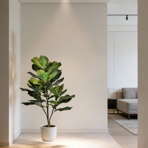 Plantes artificielles de figuier à feuilles de violon de haute qualité à <span class=keywords><strong>prix</strong></span> de gros, décoration moderne pour la maison, plante artificielle en pot de type Lyrata - Product Image 6