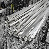 Attaches-câbles autobloquantes robustes en acier inoxydable 304 de qualité supérieure, attaches-câbles métalliques de qualité industrielle