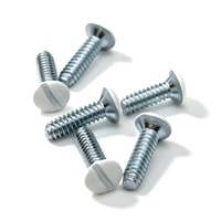 # Vis ovales à tête fendue 6-32 UNF, blanches, zinguées, pour accessoires de prises de courant standard américaines