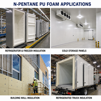 Agent de gonflage N-Pentane de qualité CAS 109-66-0 Pureté 99% Remplacement du HCFC-141b pour la production de panneaux isolants en mousse rigide PU