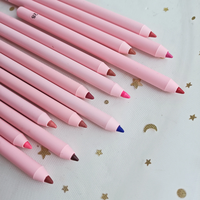 Nouveautés Crayon à lèvres mat OEM Multicolores Imperméable Vegan Crayon à lèvres mat Crayon à lèvres à label privé Facile à colorer Crayon à lèvres crème